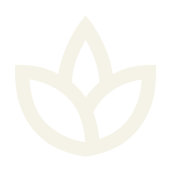 Terapias
